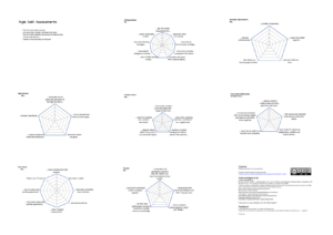 Agile Self Assessment for Teams -V2