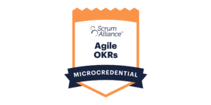 <span class="okr">🎖️OKRs - Objectives <nobr>& Key Results</nobr></span><br/> <nobr>20.06.25 ·</nobr> <nobr>online · de</nobr>