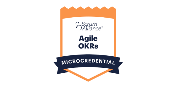 <span class="okr">🎖️OKRs - Objectives <nobr>& Key Results</nobr></span><br/> <nobr>20.06.25 ·</nobr> <nobr>online · de</nobr>